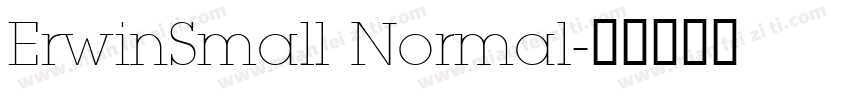 ErwinSmall Normal字体转换